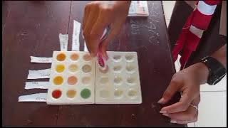 Download lagu Praktikum Kimia | Indikator Alami Asam Basa | kelas: Xl IPA3 | #sman 1 taebenu...