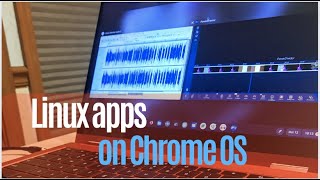 Linux apps on Chrome OS