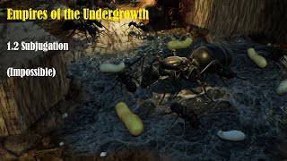 Empires of the Undergrowth | 1.2 Subjugation (Impossible)