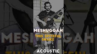 Meshuggah - This Spiteful Snake - Acoustic One-Man Band Cover (1xN)