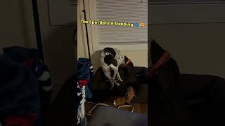 Your Dog Is Doing This For A Reason But Humans Miss It