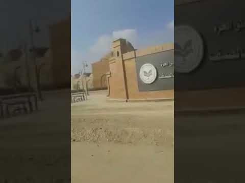 سورناجا عربان الصف الجيزة