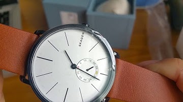 Đồng hồ Skagen Chính hãng : Skagen Hagen SKW6216