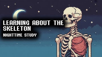 The Human Skeleton (Bones & Structure) | Restful 3 Hour Anatomy Lecture