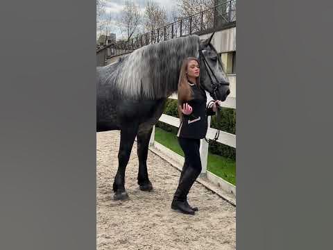 Beautifull Black Horse Girl Photoshoot Ideas #shots - YouTube