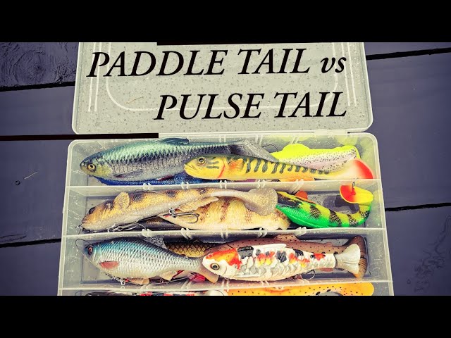 Pike fishing with Lures, Paddle Tail v Pulse Tail 