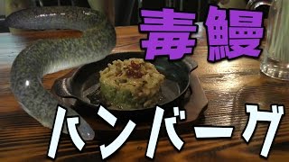 オオウナギ料理3品作ってみた【ハイサイの料理人対決】