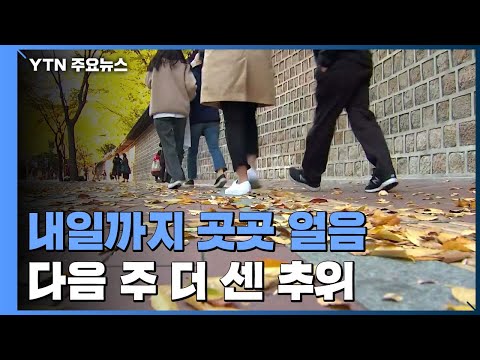 내일까지 곳곳 얼음...다음 주 더 센 추위 온다 / YTN