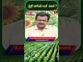 మైక్రో ఇరిగేషన్ అంటే ఏమిటి ? | T-SAT