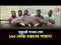       pangas mach  bangladesh  channel 24