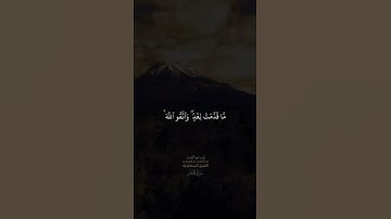 الشيخ المنشاوي سورة الحشر #آيات_الله_المحكمات #قرآن_كريم #سورة_الحشر #الشيخ_محمد_صديق_المنشاوي