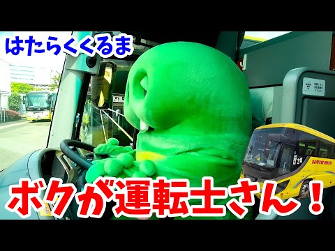 おおきな『はとバス』の運転士さんとバスガイドさんになってみたよ！【はたらくくるま（働く車）】【職業体験】