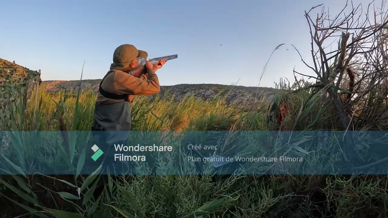 Chasse aux canards : OUVERTURE AUX CANARDS 2025/2026 