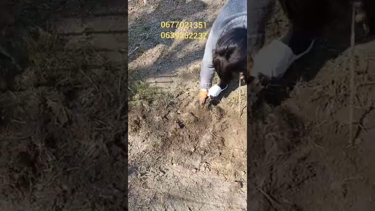 Чудо лопата 3в1.