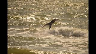 Surfside Jetty 4-14-2026 Dump #2