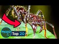 Top 20 Scariest Insects on Earth