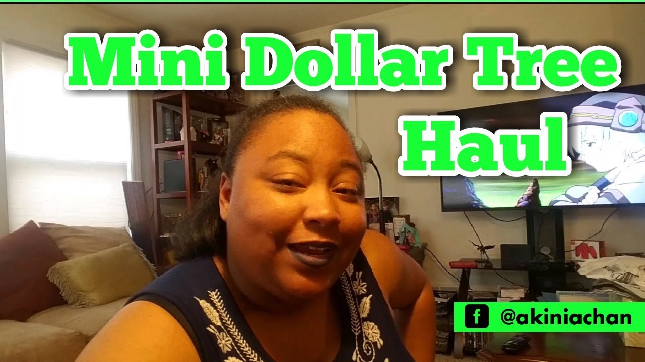 Random Dollar Tree Shopping Haul