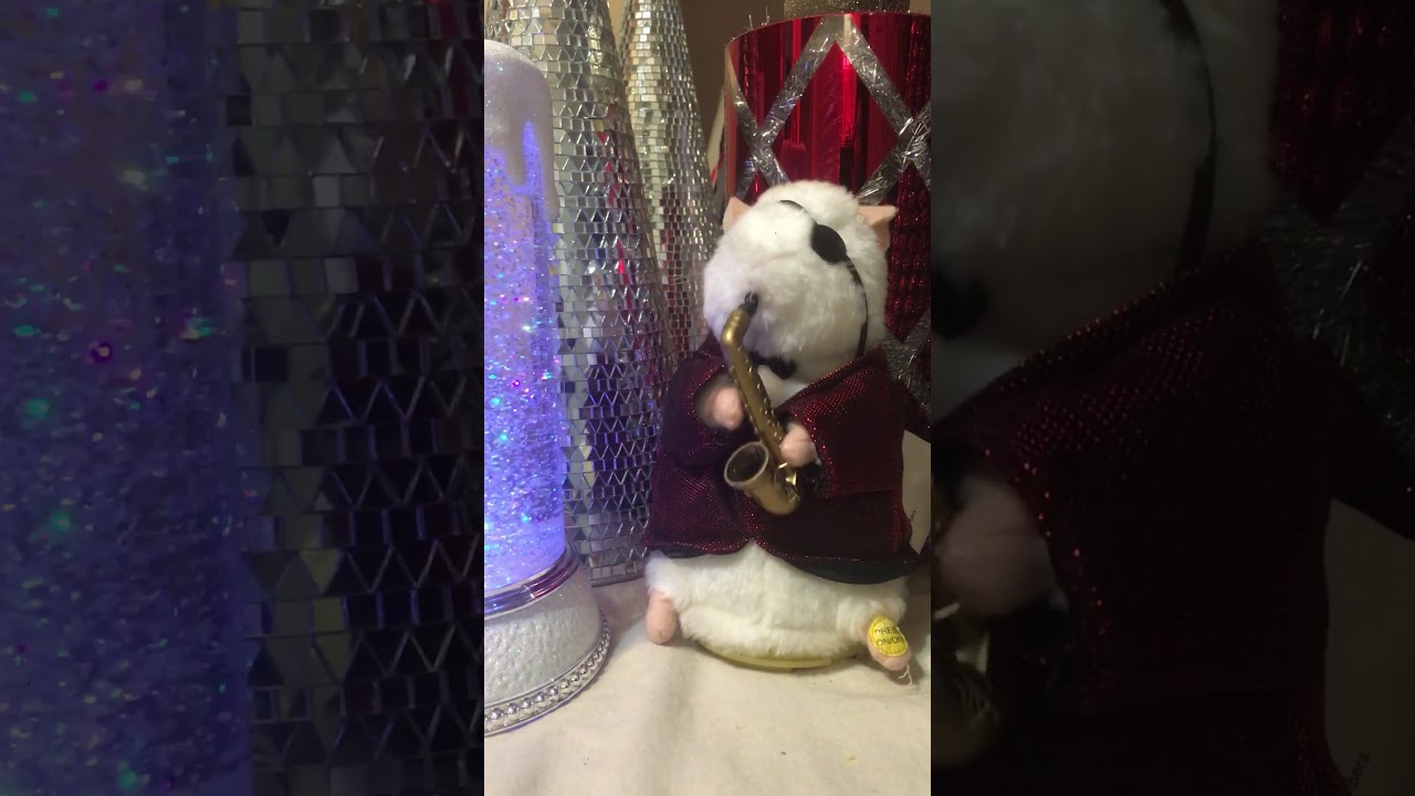 Spooky dancing Hamster (Ghost busters theme) YouTube