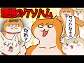 【第12話】現実のクソハムはうんこ被ってブチギレ