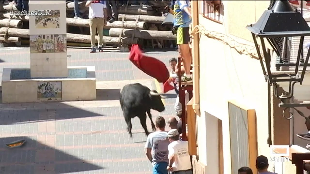 Elche de la Sierra celebra su cuarto día de encierros I Ancha es Castilla-La Mancha