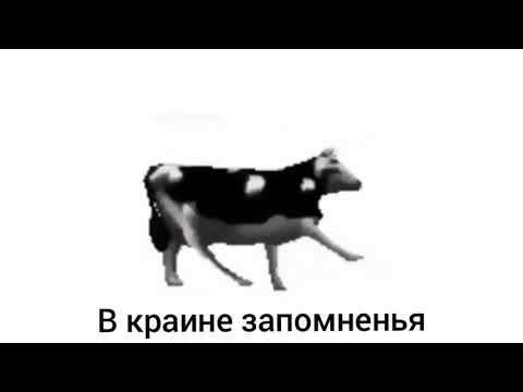 Польская корова -