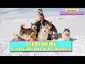 8 Ekor Anjing Terpaksa Ditinggal saat Badai Salju Di Antartica | Alur Film EIGHT BELOW (2006)