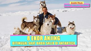 8 Ekor Anjing Terpaksa Ditinggal saat Badai Salju Di Antartica | Alur Film EIGHT BELOW (2006)