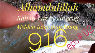 tahan tajur ikan baung 2022 ep/02 sado.. #ikansungai #ikan #baung