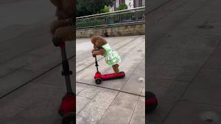 Çok Tatlı 🥰🥰 Resimi