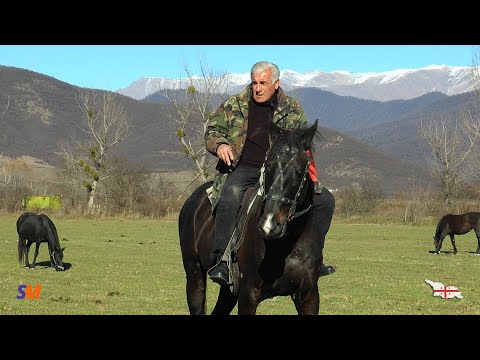 მალე გამოვა \"ცხენები და ჩემი ცხოვრება\"