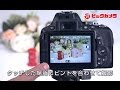 【ビックカメラ】ニコン　デジタル一眼レフ　D5600　動画で紹介