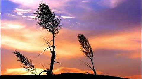 مؤثر جدا الشيخ فارس عباد سورة الفجر   fares abbad sourat al fajr.flv
