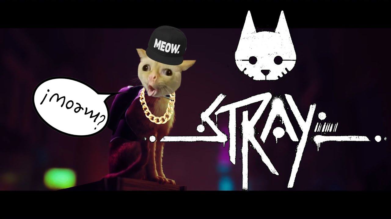 Today We Play With Pussy Cats Stray Ps5 First Look Sundaystream Youtube