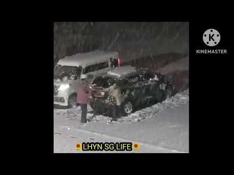 They are removing snow from their cars