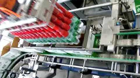 Automatic robot case packer for water bottle