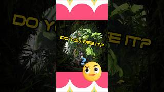 AI Hidden Picture Game is Cool 😎 screenshot 1