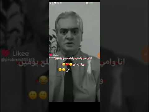 انتو فلتو