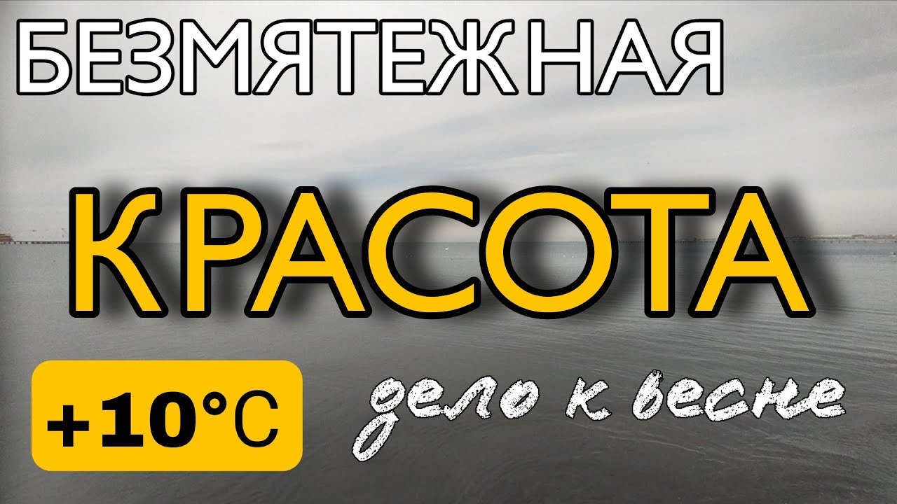 +10°С ☀️ #АНАПА ЖДЁТ ВЕСНУ 🌱 🌊 22.02.26