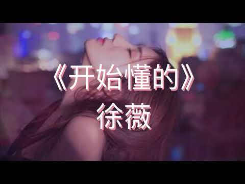 เนื้อเพลง 《开始懂了》เริ่มเข้าใจแล้วว่า - 徐薇 | พร้อม พินอิน+แปลไทย
