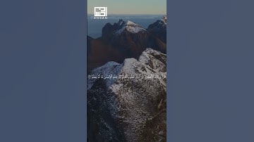 سورة العلق الآيات 1-8 بصوت الشيخ سعد الغامدي 📖 تلاوة خاشعة