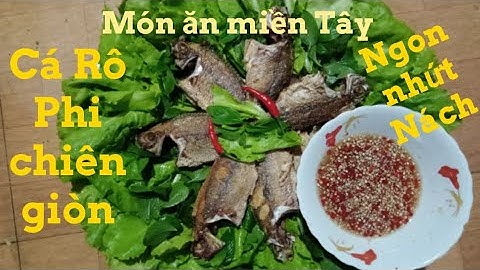 Cá Rô Phi chiên giòn. Gối Bánh chán. #15 : Tân Xàm TV