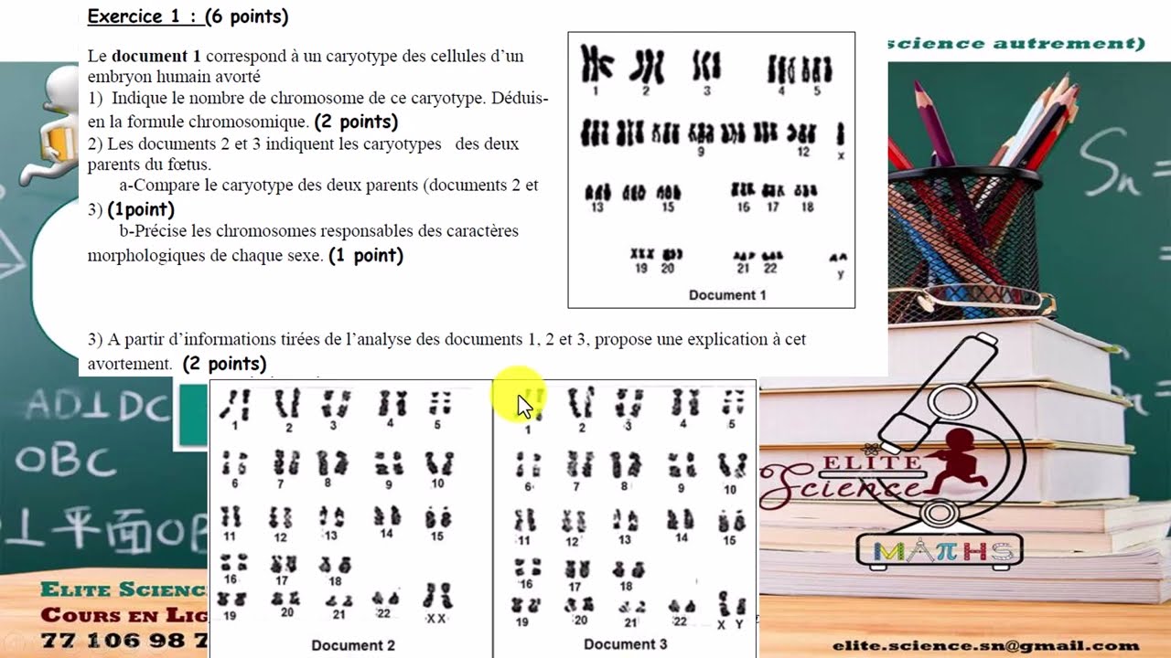 (1eS/SVT) Révision Compo: Exercice sur LES CHROMOSOMES