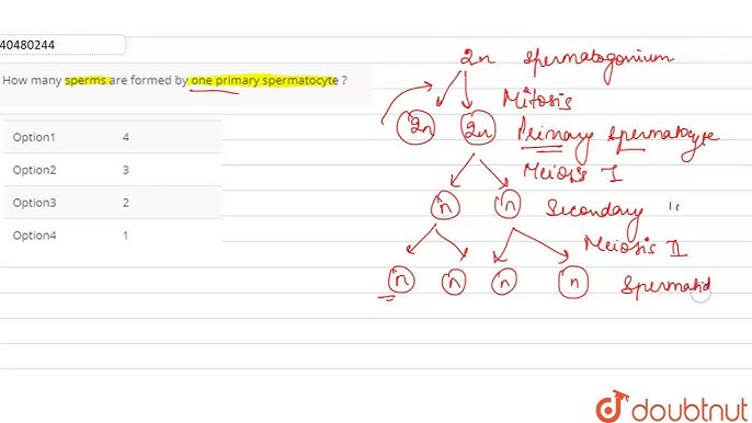 Олар оны мас күйінде қалдырып, ұрсып, камераға түсіріп алған.