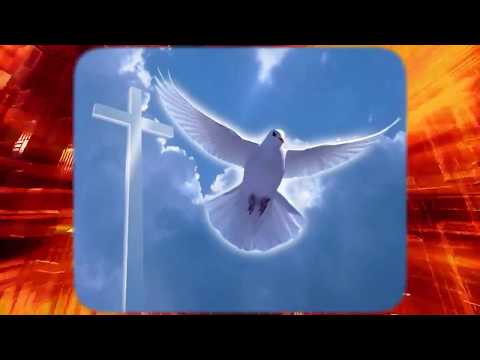 ერთი ადამიანიც რომ გძულდეს, სასუფევლისგან შორს ხარ