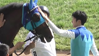 現地】2025 メイクデビュー 新馬戦 アドマイヤクワッズ 坂井 瑠星