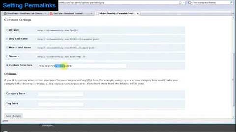 Setting Up Permalinks In WordPress