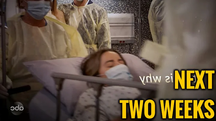 ABC General Hospital Spoilers Next 2 Week December 8 - December 19, 2025 | GH Spoilers