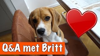 Matzy Is Stout Dierenpraattv