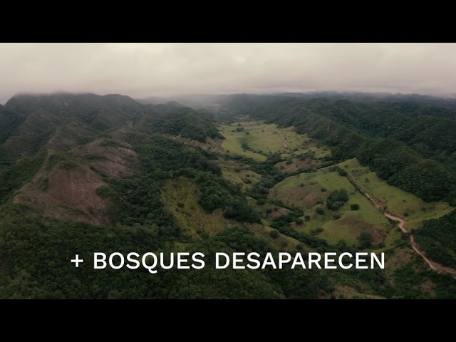 Bolivia identifica 97 Áreas Clave para la Biodiversidad (KBA)