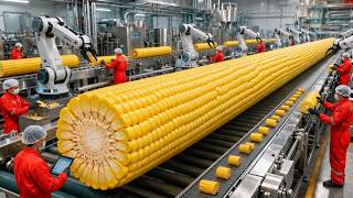 Inside the Factory: Complete Sweet Corn to Creamy Corn Milk Manufacturing Process